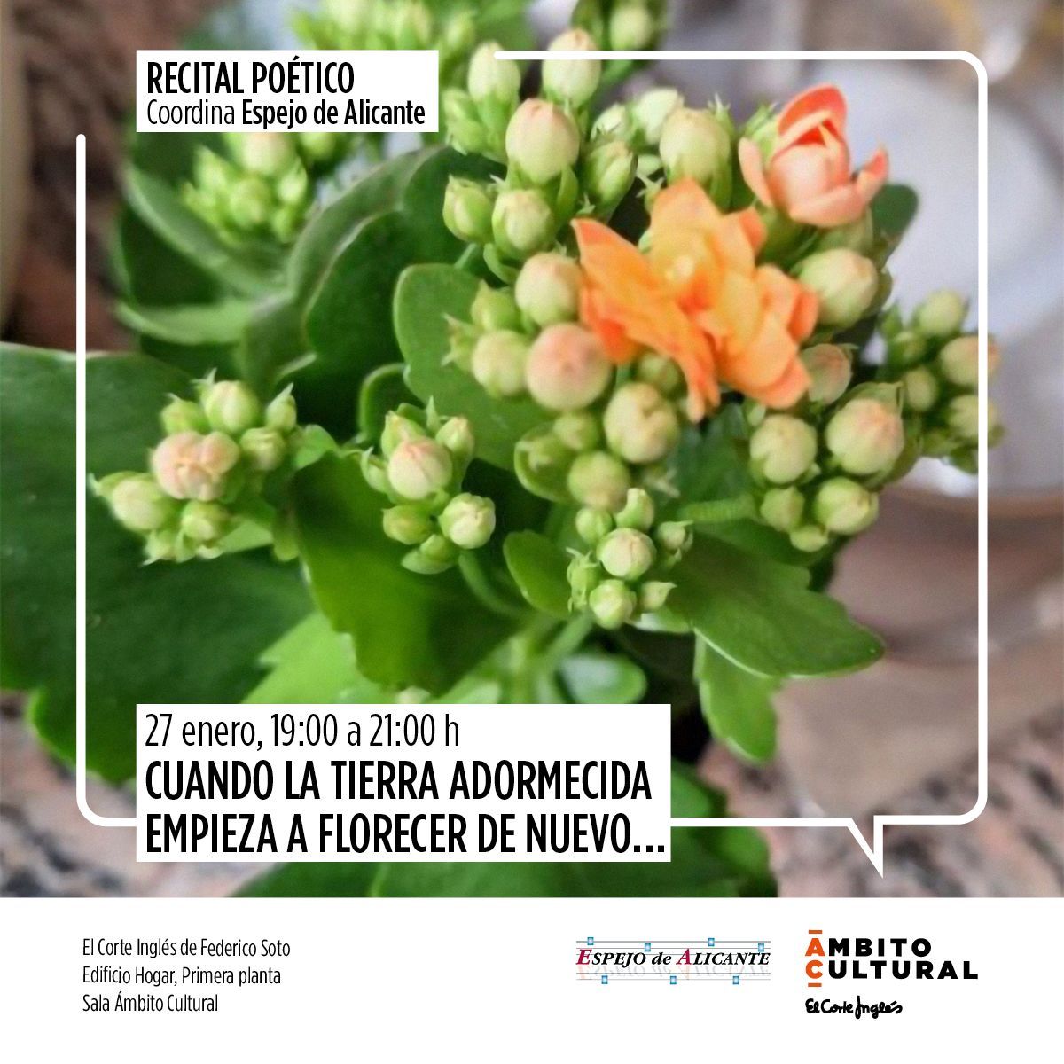 Recital poético “CUANDO LA TIERRA ADORMECIDA EMPIEZA A FLORECER DE NUEVO…"